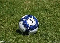 曼联后卫哈,德利转会至,荷甲乌德勒,万博manbetx体育平台,万博体育官网,万博体育app下载,ManBetX,SPORTS