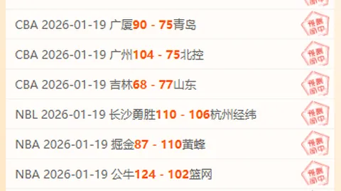 布拉格斯拉维亚(U19)与哈雷斯彻(U19)2025年1月11日友谊赛：历史交锋回顾、对战记录及预测分析